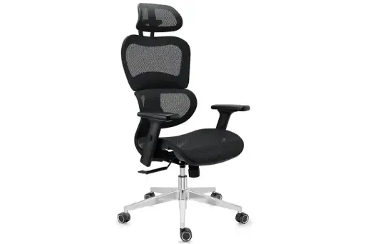 Chaise Ergonomique VICTORY,